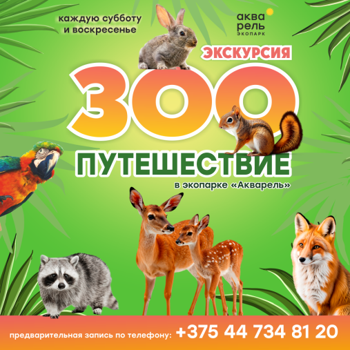 Экскурсия «ЗОО Путешествие»