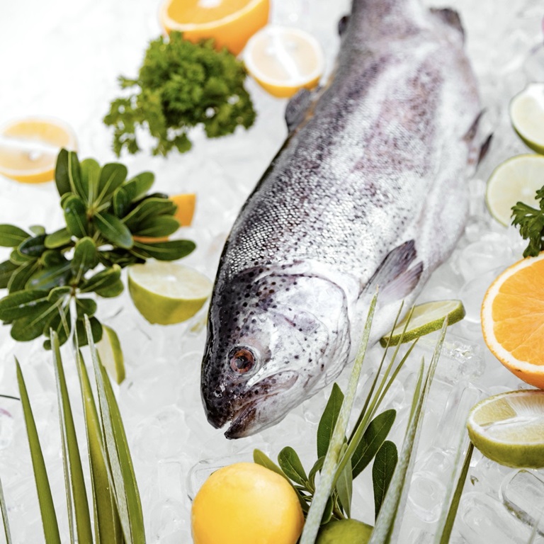 Свежая рыба для праздничного стола Свежая рыба для праздничного стола