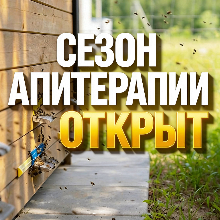 Сезон апитерапии открыт